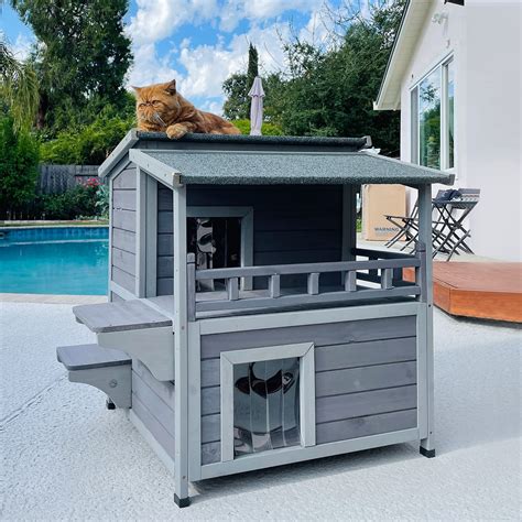 outdoor cat houses for cats